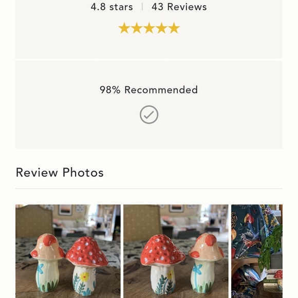 Anthropologie x Nathalie Lete Mushroom Salt & Pepper shakers - autumn hues - Picture 7 of 14